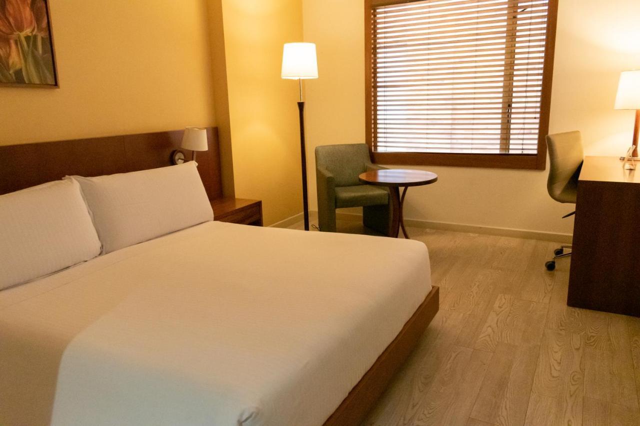 Executive Double Room,1539077080:JPEG