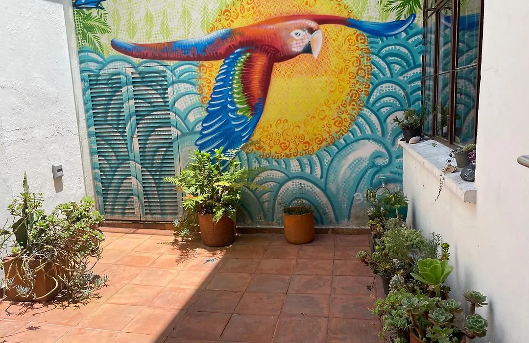 Casa Muntu - La Candelaria-1